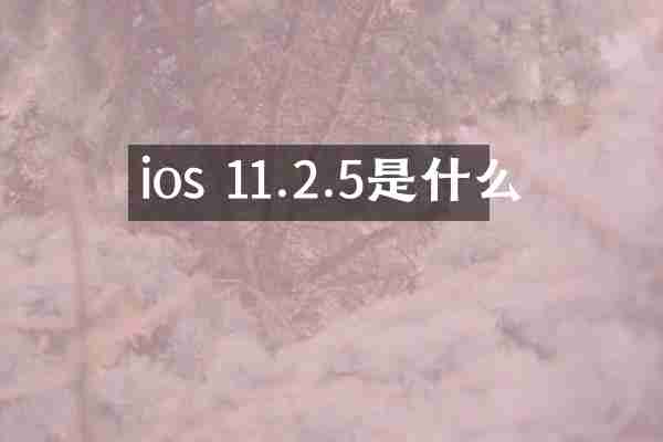 ios 11.2.5是什么