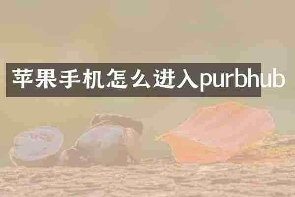 苹果手机怎么进入purbhub