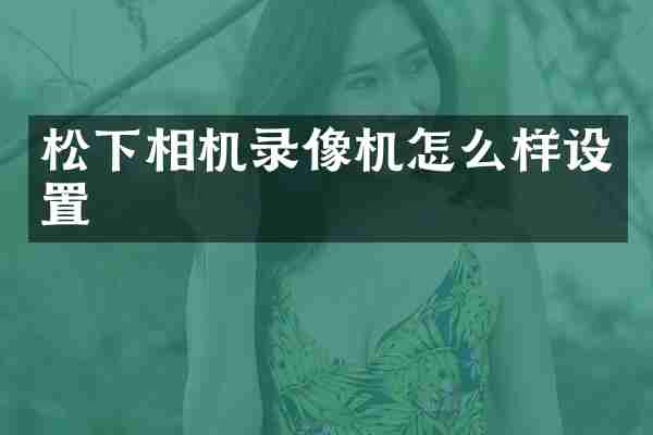 松下相机录像机怎么样设置