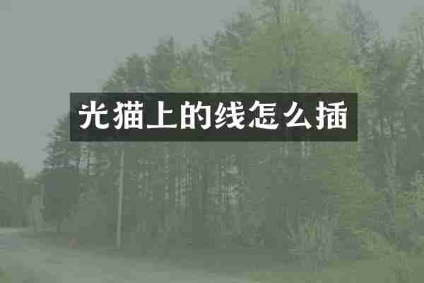 光猫上的线怎么插