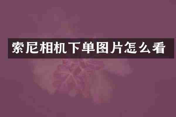 索尼相机下单图片怎么看