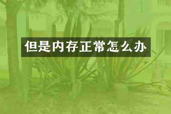 但是内存正常怎么办