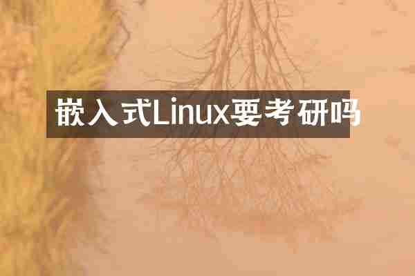 嵌入式Linux要考研吗