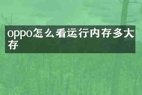 oppo怎么看运行内存多大内存