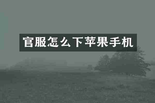 官服怎么下苹果手机