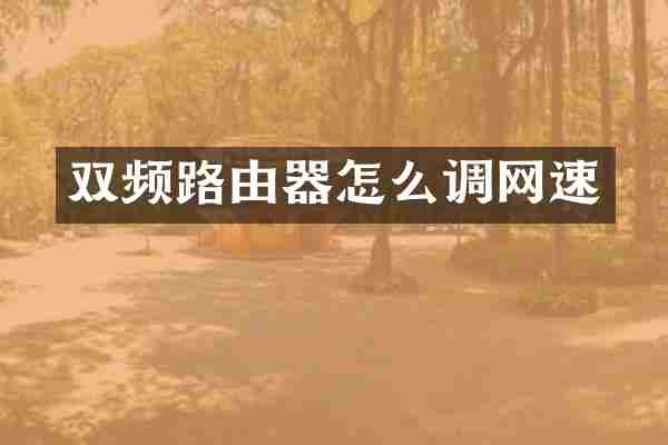 双频路由器怎么调网速