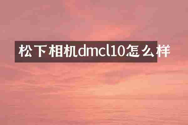松下相机dmcl10怎么样