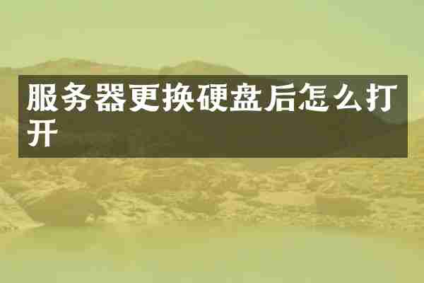 服务器更换硬盘后怎么打开