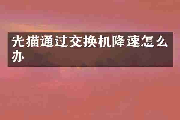 光猫通过交换机降速怎么办