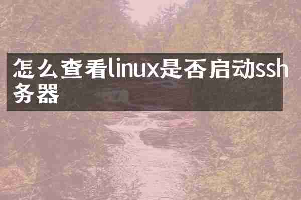 怎么查看linux是否启动ssh服务器