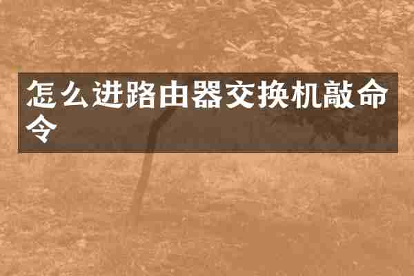 怎么进路由器交换机敲命令