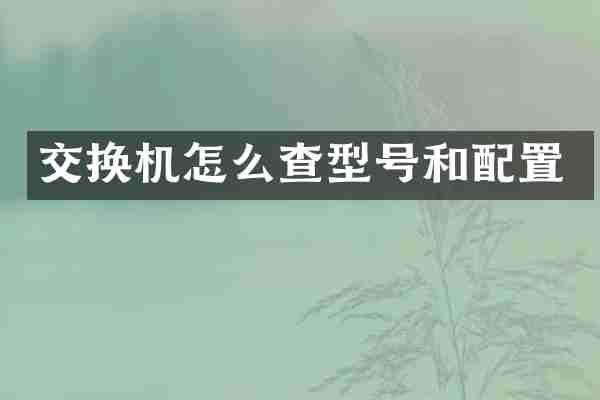 交换机怎么查型号和配置
