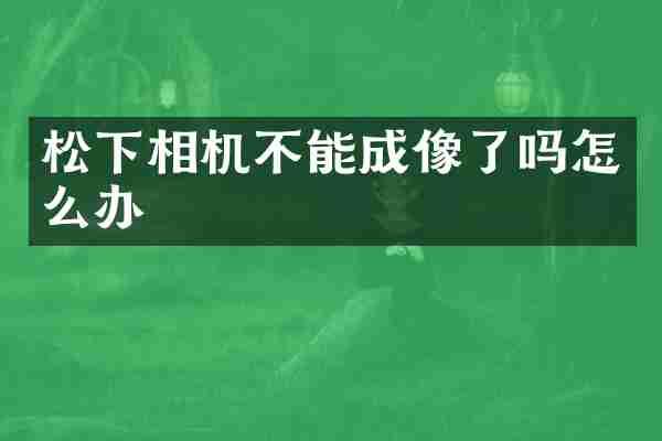松下相机不能成像了吗怎么办