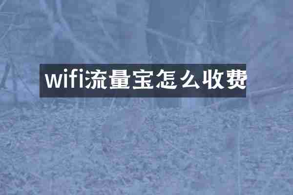 wifi流量宝怎么收费