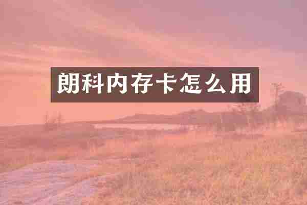 朗科内存卡怎么用