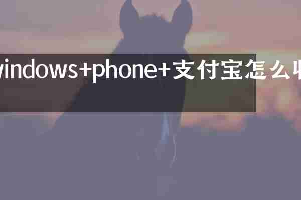 windows+phone+支付宝怎么收款