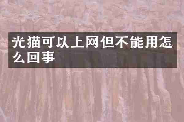 光猫可以上网但不能用怎么回事