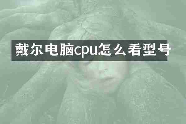 戴尔电脑cpu怎么看型号
