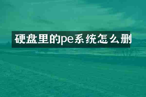 硬盘里的pe系统怎么删