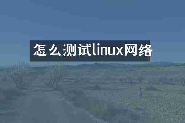 怎么测试linux网络