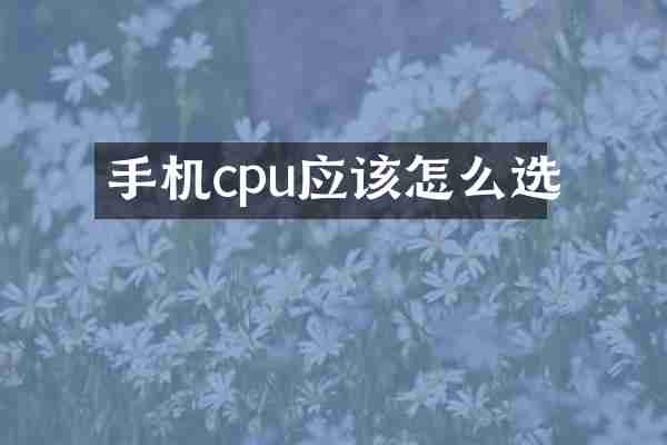 手机cpu应该怎么选