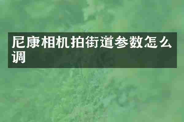 尼康相机拍街道参数怎么调