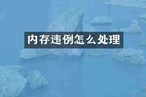 内存违例怎么处理