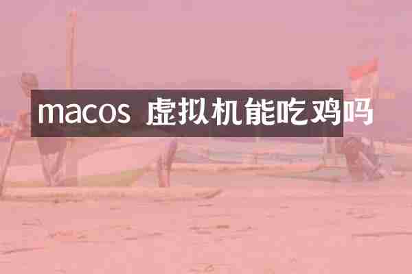 macos 虚拟机能吃鸡吗