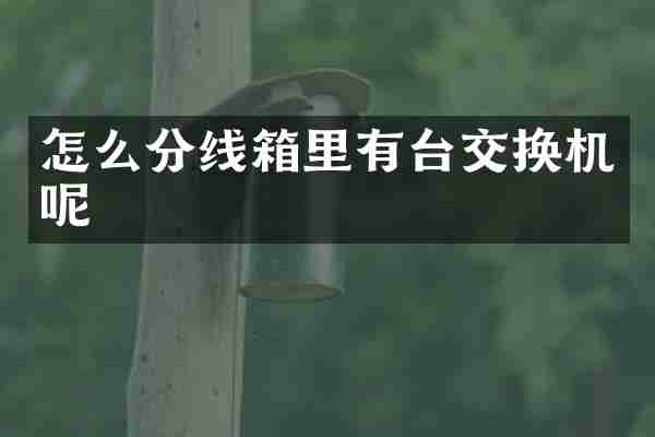 怎么分线箱里有台交换机呢