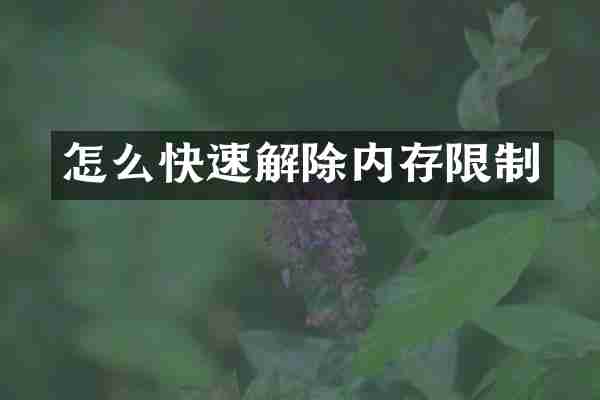 怎么快速解除内存限制