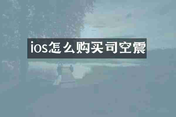 ios怎么购买司空震