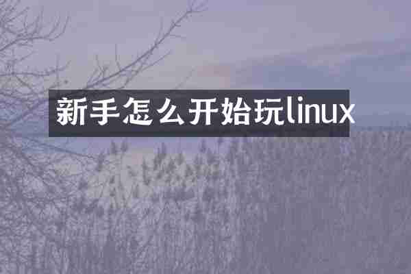 新手怎么开始玩linux