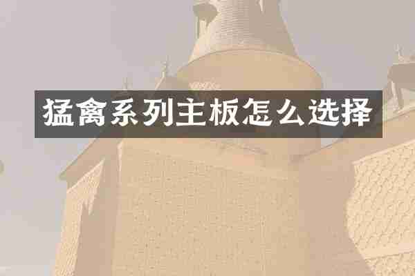 猛禽系列主板怎么选择