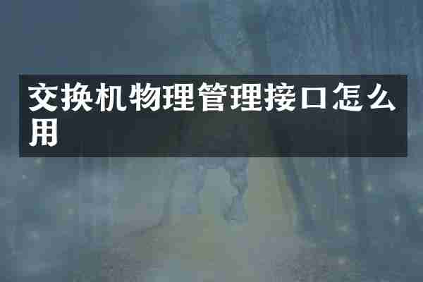 交换机物理管理接口怎么用