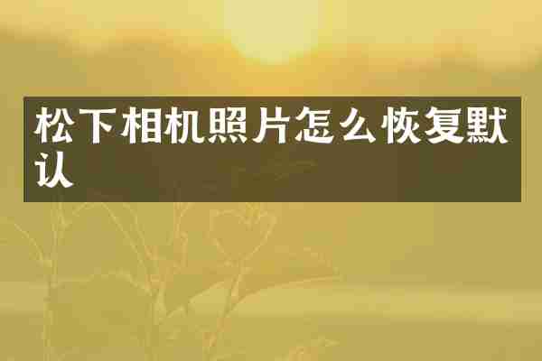 松下相机照片怎么恢复默认