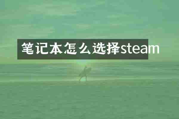 笔记本怎么选择steam