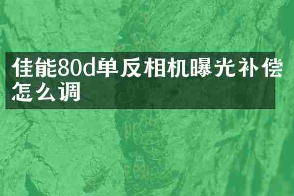 佳能80d单反相机曝光补偿怎么调
