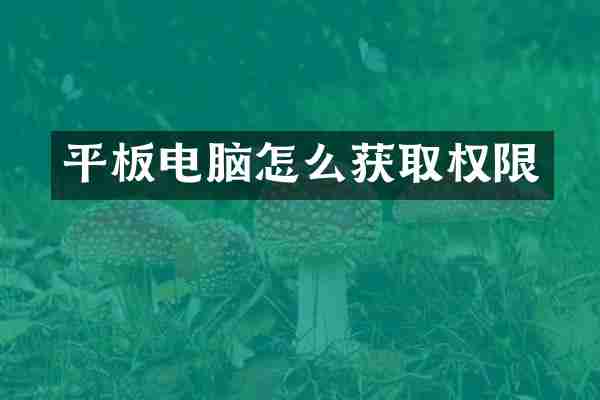 平板电脑怎么获取权限