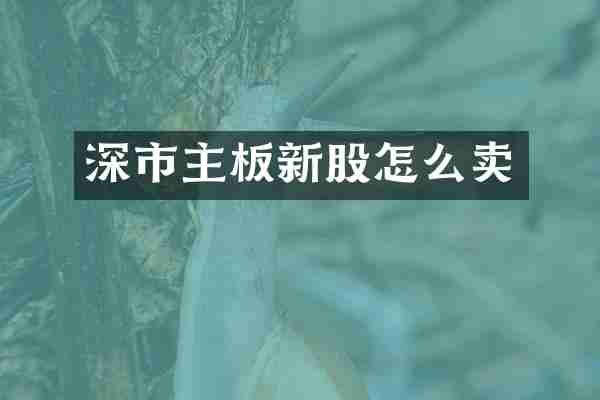 深市主板新股怎么卖