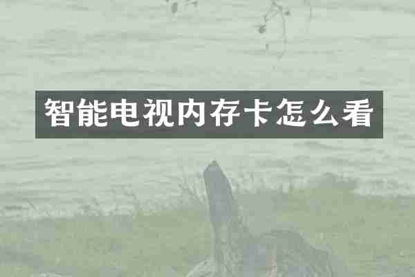 智能电视内存卡怎么看