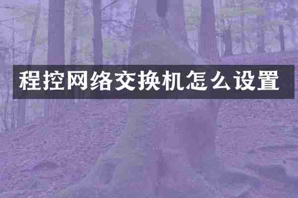 程控网络交换机怎么设置