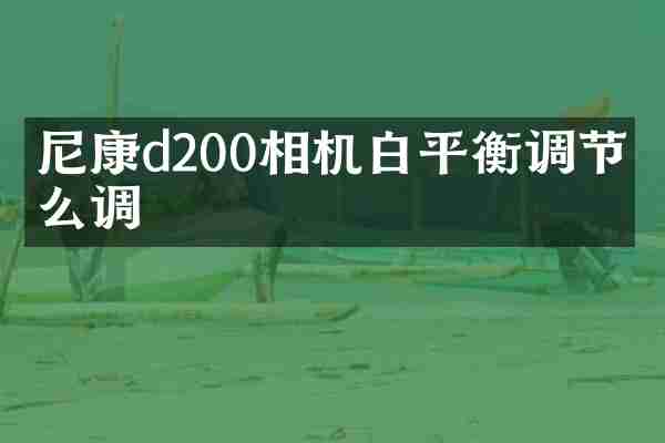 尼康d200相机白平衡调节怎么调
