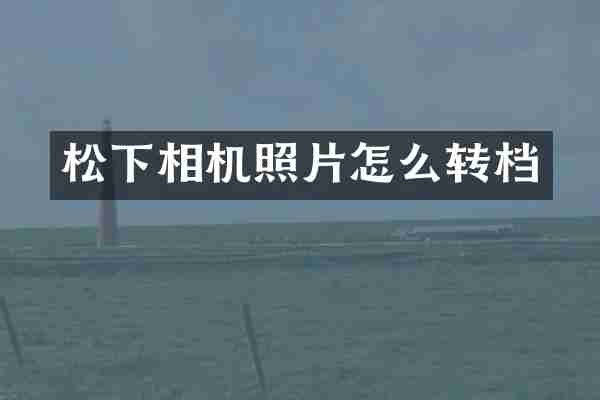 松下相机照片怎么转档