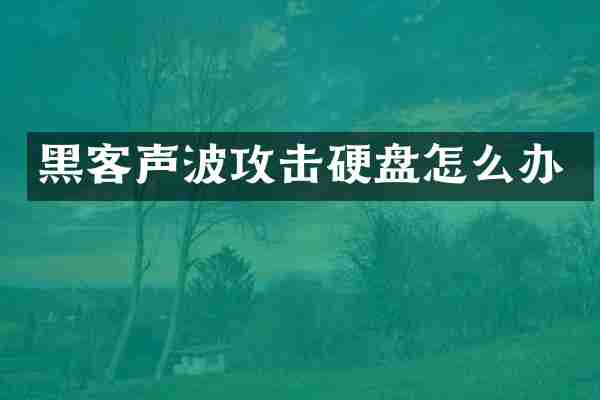 黑客声波攻击硬盘怎么办