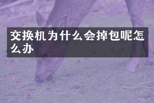 交换机为什么会掉包呢怎么办