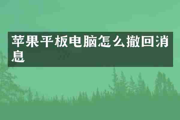 苹果平板电脑怎么撤回消息