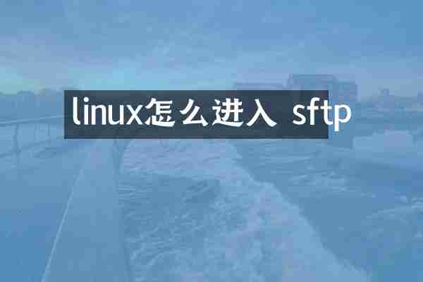 linux怎么进入 sftp