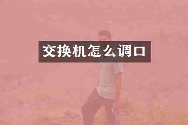 交换机怎么调口