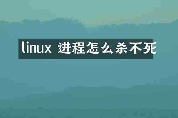 linux 进程怎么杀不死