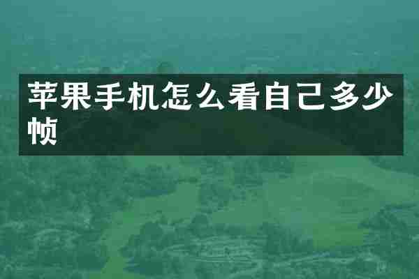 苹果手机怎么看自己多少帧